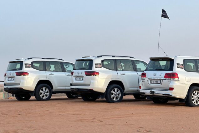 Evening Desert Safari